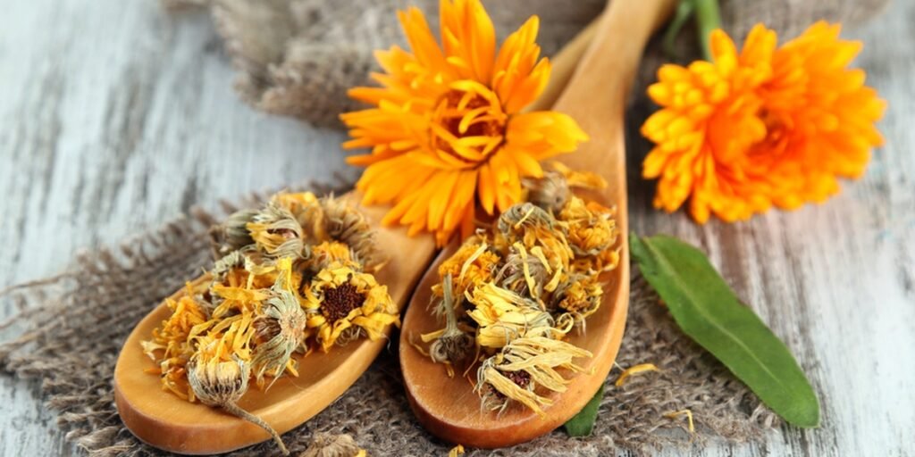 Aynısefa Tohumu (Calendula)