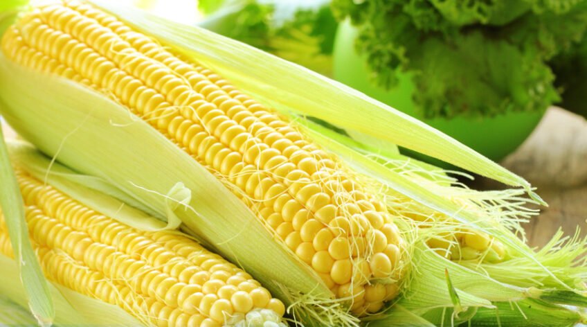 There are many variations of passages of Lorem Ipsum available, but majority have suffered teration in some form, by injected humour, or randomised words which don't look even slight believable. If you are going to use a passage of Lorem Ipsum.