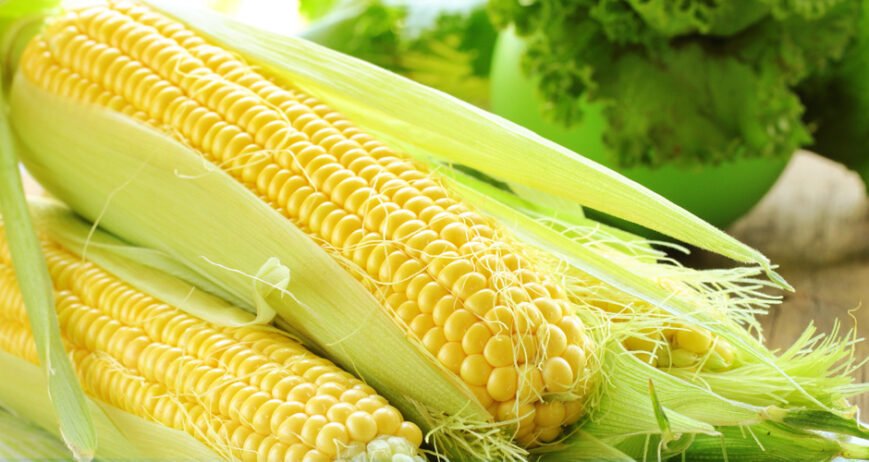 There are many variations of passages of Lorem Ipsum available, but majority have suffered teration in some form, by injected humour, or randomised words which don't look even slight believable. If you are going to use a passage of Lorem Ipsum.