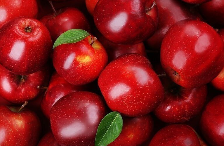 There are many variations of passages of Lorem Ipsum available, but majority have suffered teration in some form, by injected humour, or randomised words which don't look even slight believable. If you are going to use a passage of Lorem Ipsum.