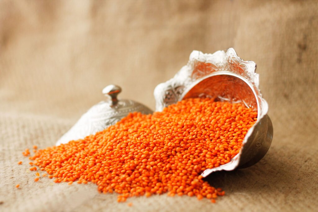 Mercimek Tohumluk