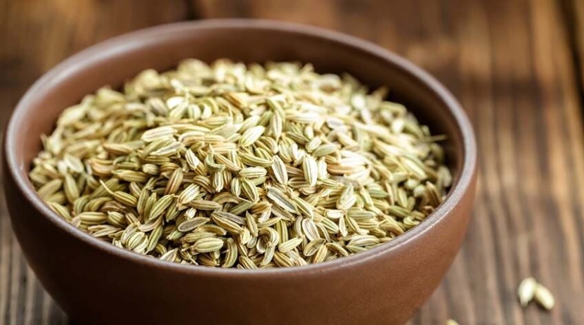 There are many variations of passages of Lorem Ipsum available, but majority have suffered teration in some form, by injected humour, or randomised words which don't look even slight believable. If you are going to use a passage of Lorem Ipsum.