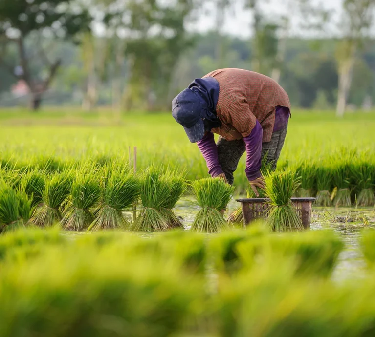 There are many variations of passages of Lorem Ipsum available, but majority have suffered teration in some form, by injected humour, or randomised words which don't look even slight believable. If you are going to use a passage of Lorem Ipsum.