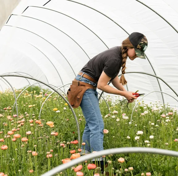 There are many variations of passages of Lorem Ipsum available, but majority have suffered teration in some form, by injected humour, or randomised words which don't look even slight believable. If you are going to use a passage of Lorem Ipsum.