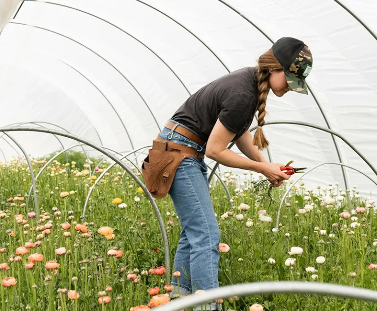 Organik Ürün Tedarikinde Kalite ve Güven Neden Bu Kadar Önemli?