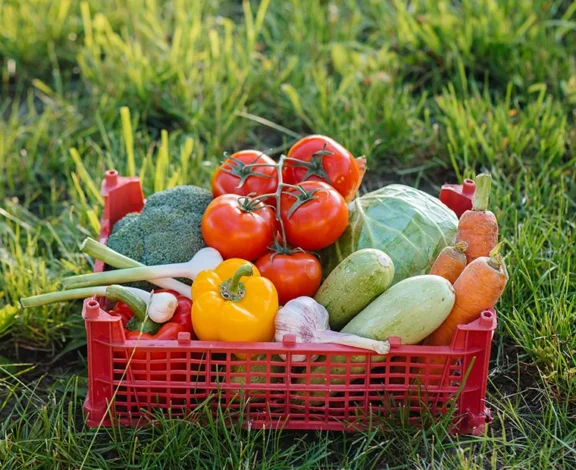 There are many variations of passages of Lorem Ipsum available, but majority have suffered teration in some form, by injected humour, or randomised words which don't look even slight believable. If you are going to use a passage of Lorem Ipsum.